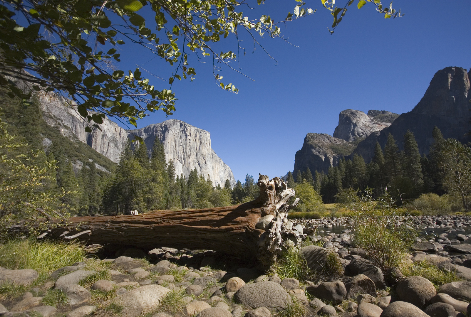 Yosemite National Park