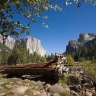 Yosemite National Park