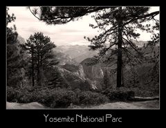 Yosemite National Park II