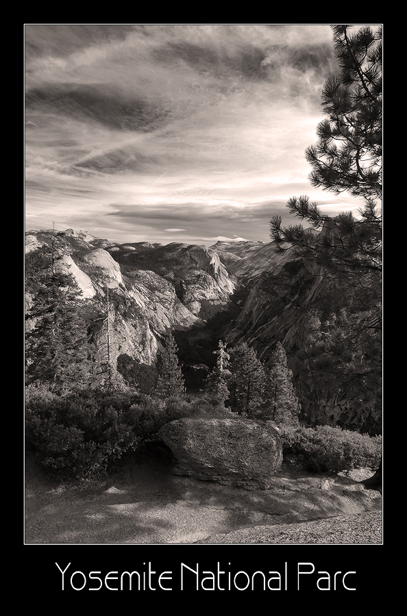 Yosemite National Park III