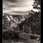 Yosemite National Park III