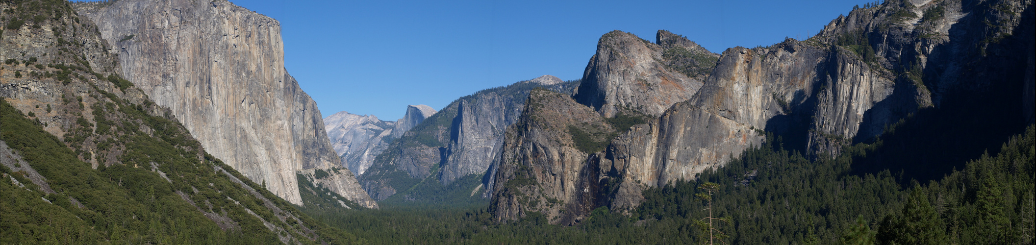 Yosemite National Park Panorama