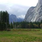 Yosemite Nationalpark (5)