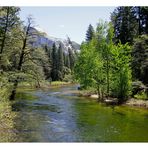 Yosemite Nationalpark*