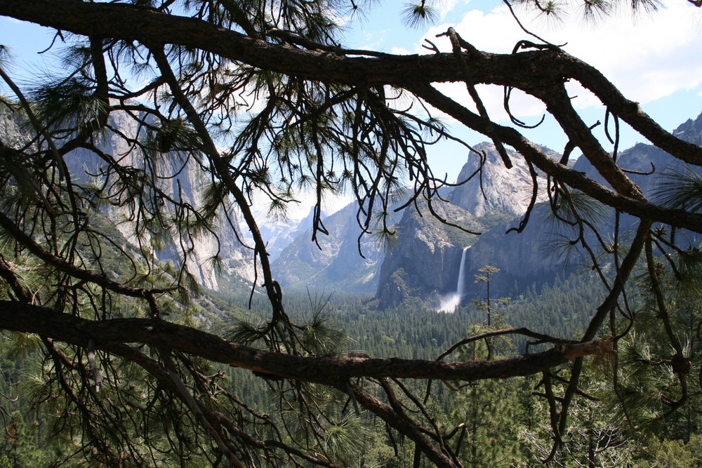 Yosemite Nationalpark