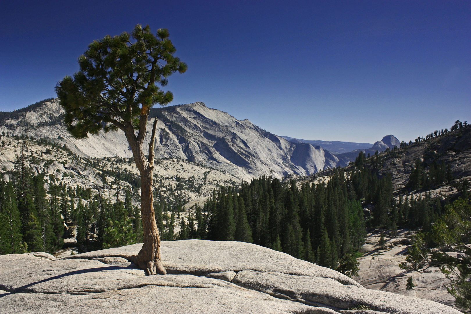 Yosemite Nationalpark - Olmsted Point