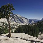 Yosemite Nationalpark - Olmsted Point