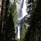 Yosemite Nationalpark - Yosemite Fall