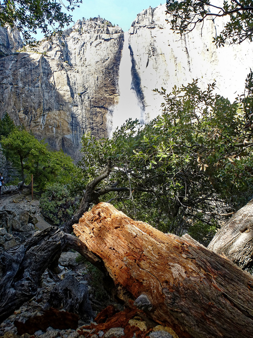 Yosemite Nationalpark: Yosemite Wasserfall