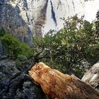 Yosemite Nationalpark: Yosemite Wasserfall