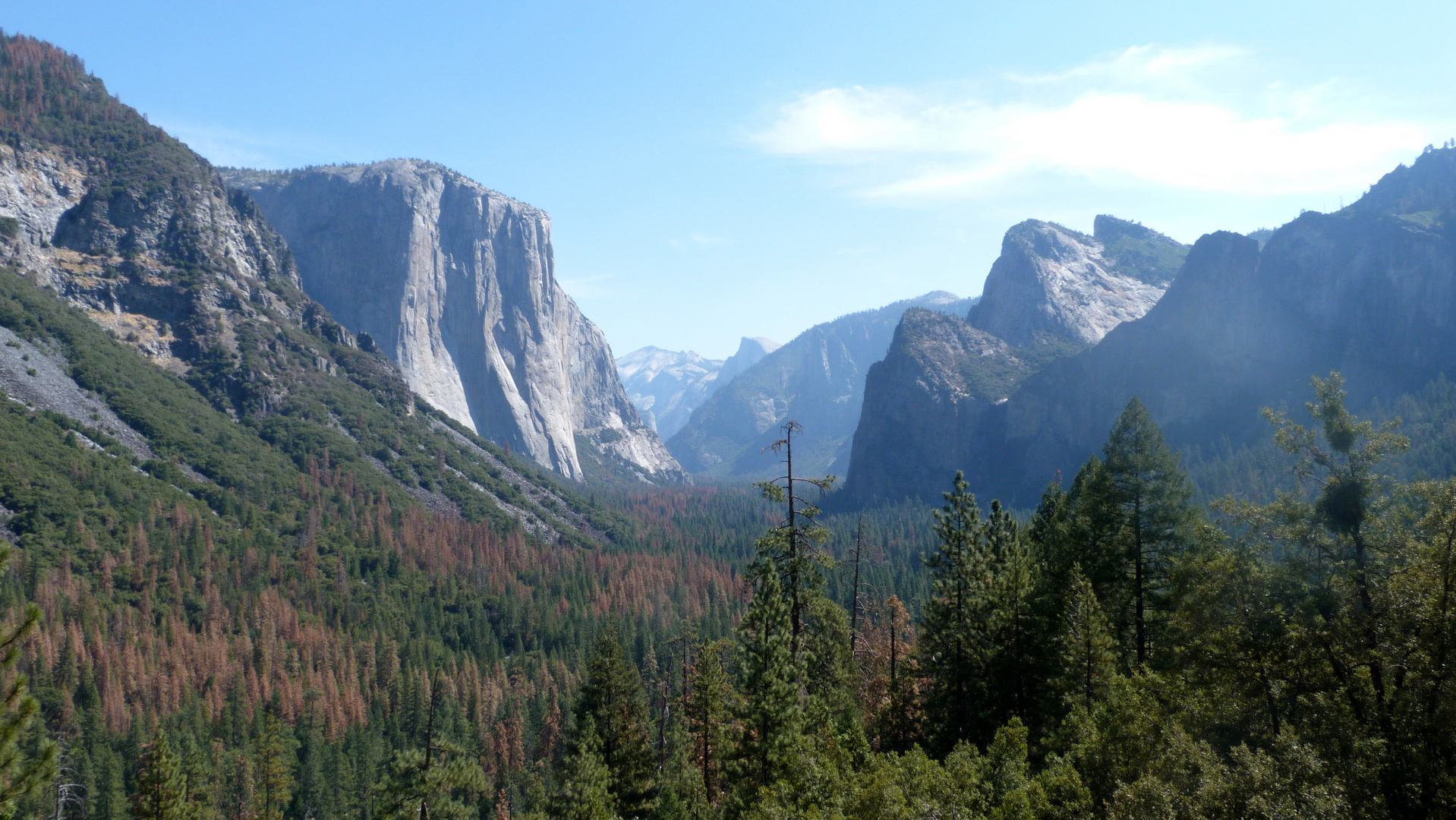 Yosemite NP 