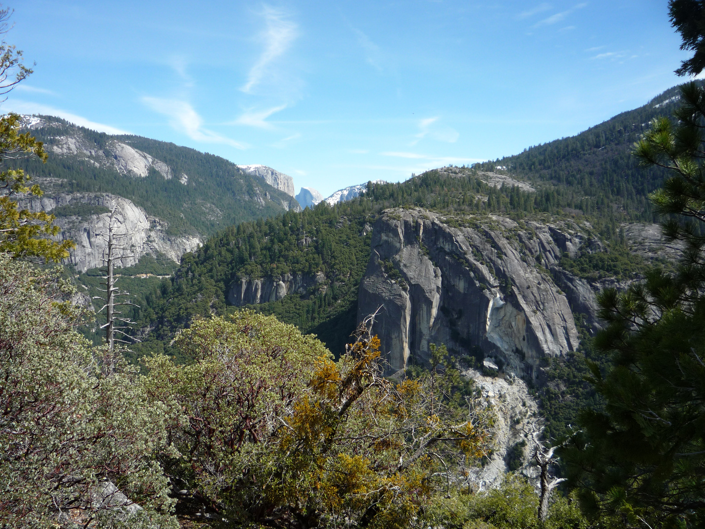 Yosemite N.P.