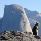 Yosemite NP