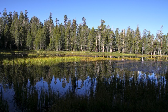 Yosemite NP