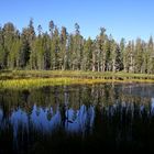 Yosemite NP