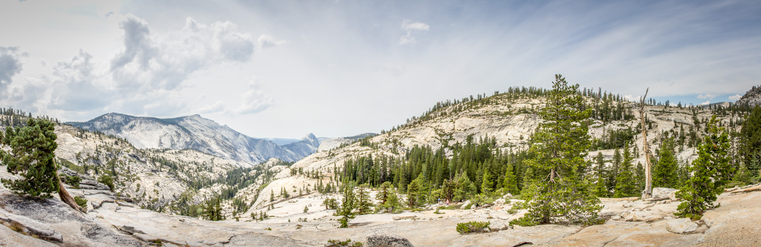 Yosemite NP