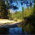 Yosemite NP