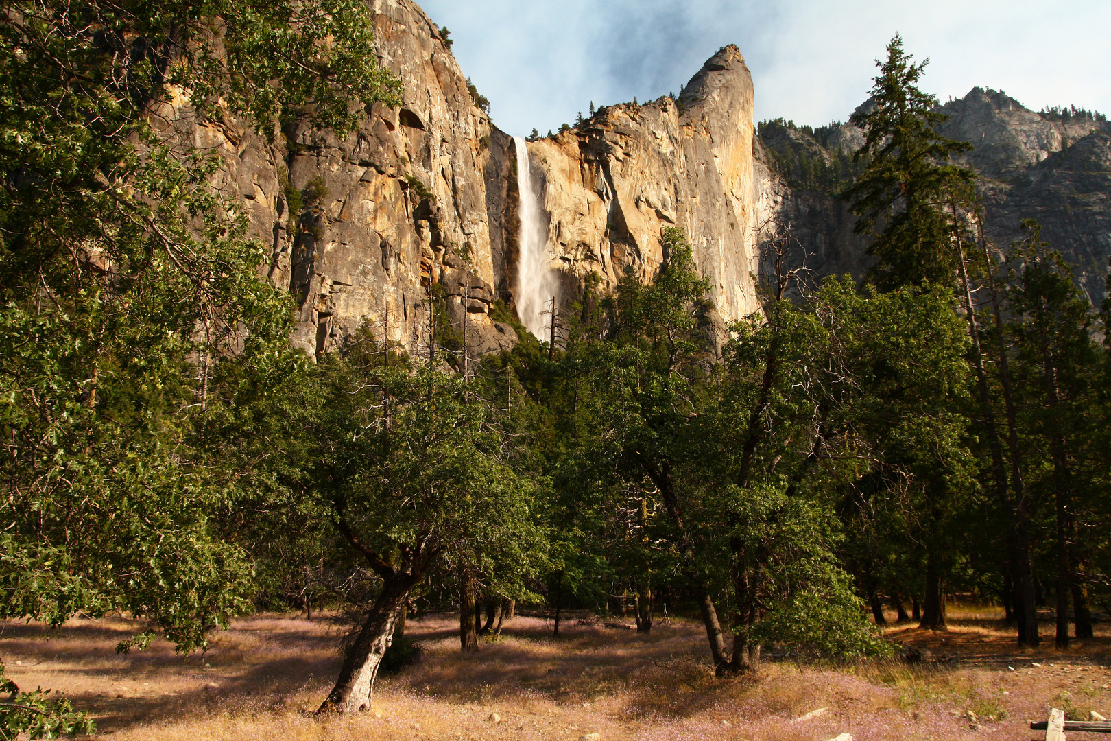 Yosemite NP