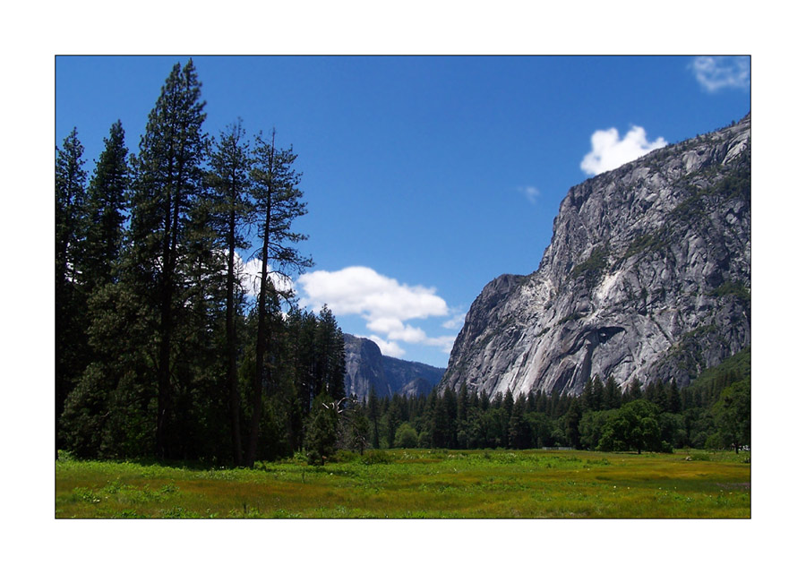 Yosemite N.P.