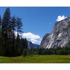 Yosemite N.P.