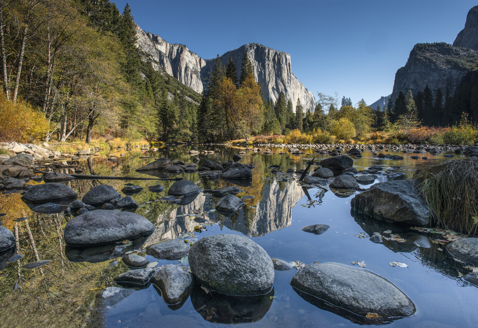 Yosemite NP