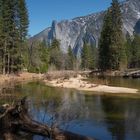 Yosemite NP