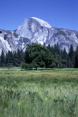 Yosemite NP