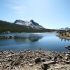 Yosemite NP ::: beim Angeln am Ellery Lake