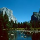 Yosemite N.P., CA - 1990