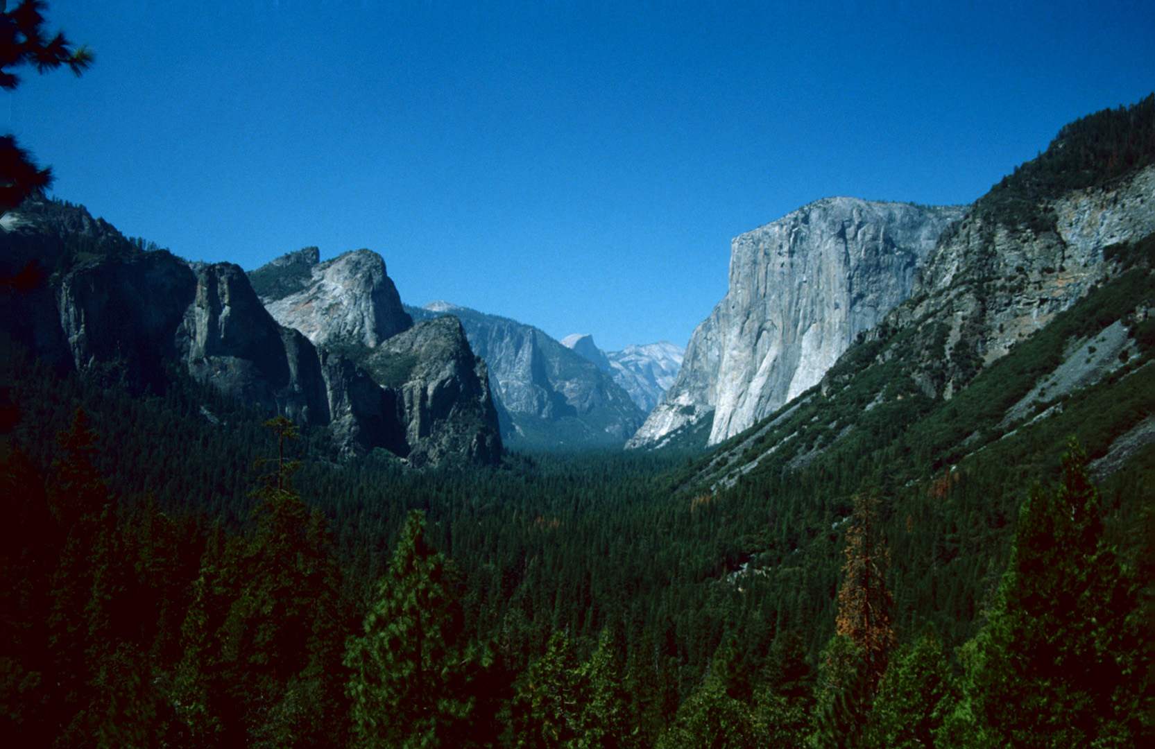 Yosemite N.P., CA - 1990