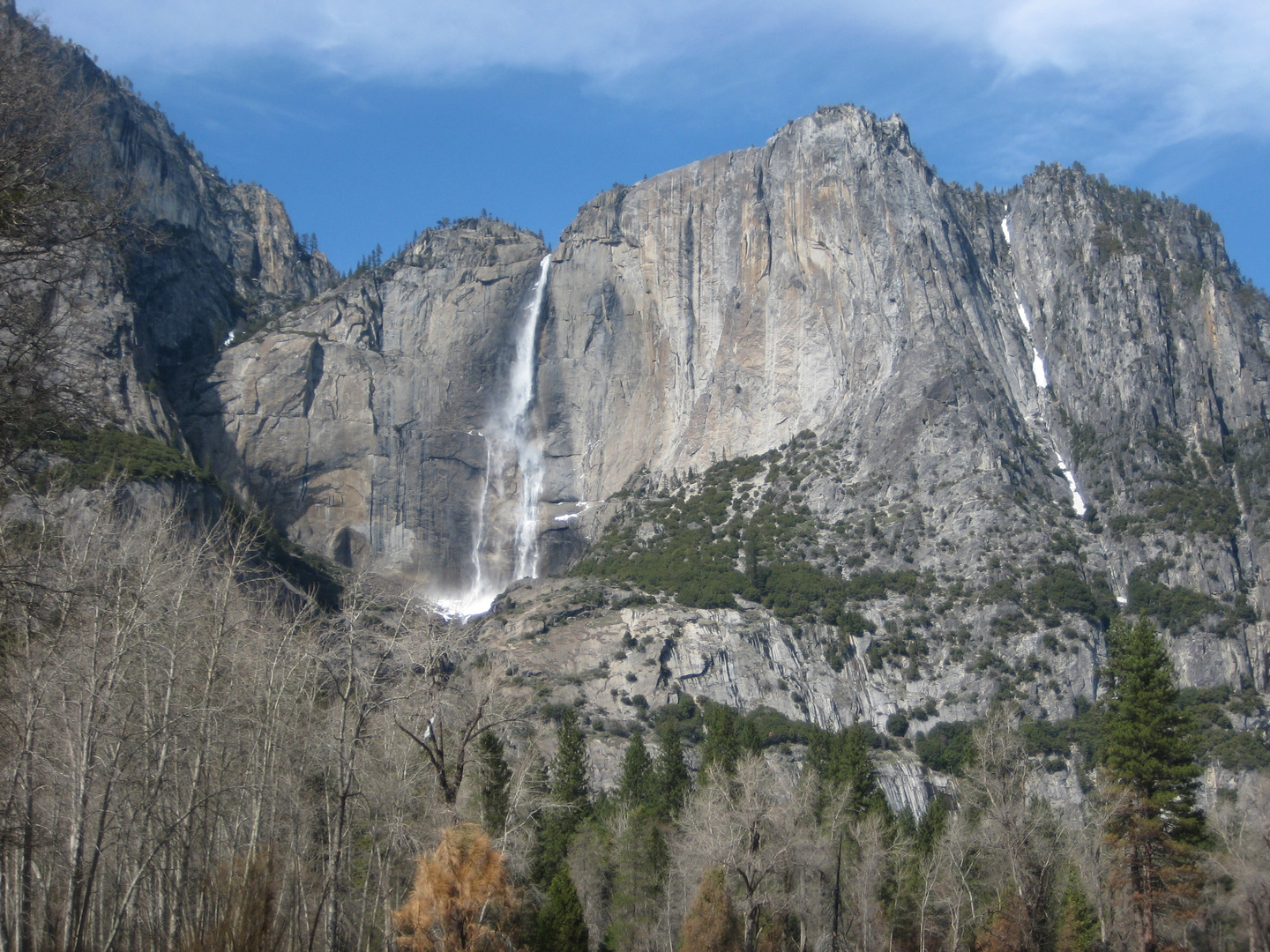 Yosemite N.P.