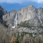 Yosemite N.P.