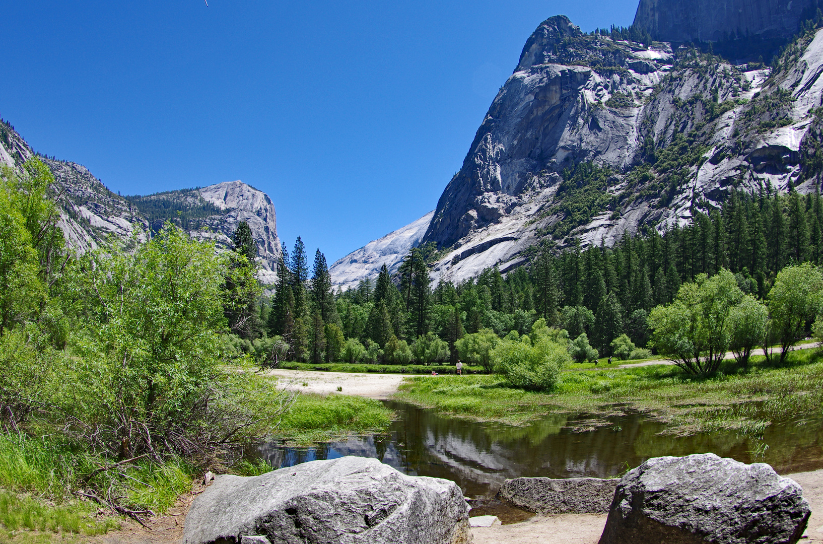 Yosemite N.P.