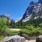 Yosemite N.P.