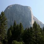 Yosemite NP I