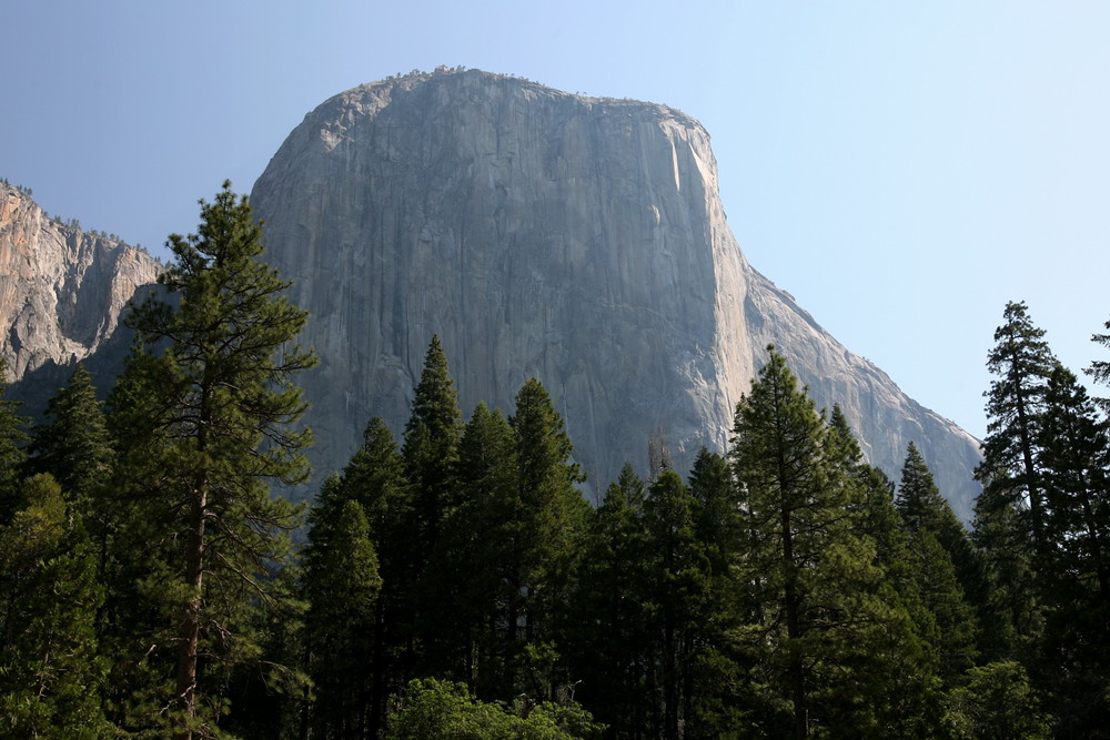 Yosemite NP I