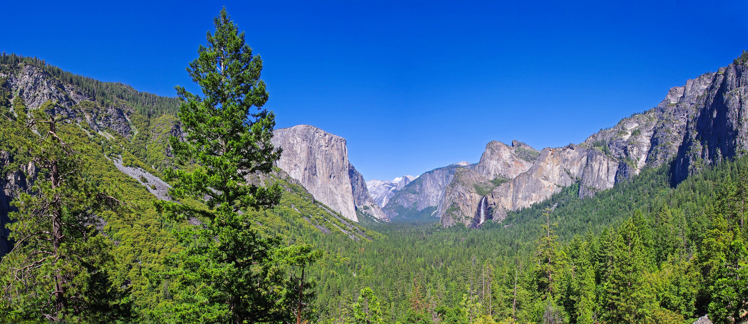 Yosemite N.P. Tunnel-View