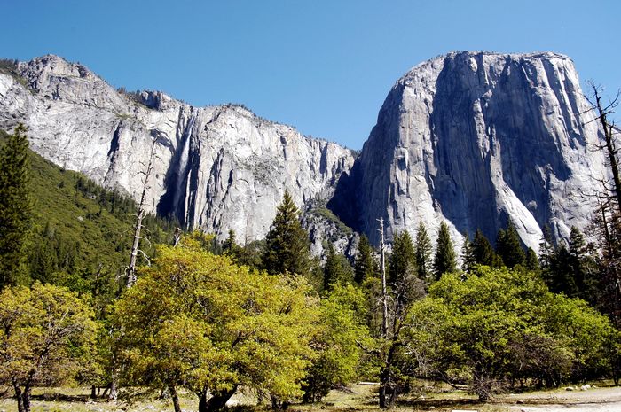 Yosemite Park# 1