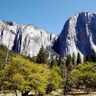 Yosemite Park# 1