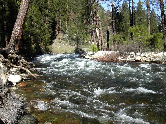 Yosemite Park # 2