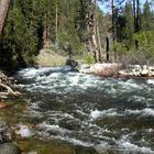 Yosemite Park # 2