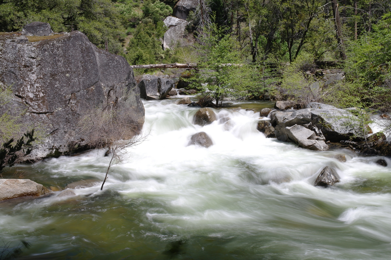 Yosemite Park