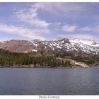 Yosemite Park