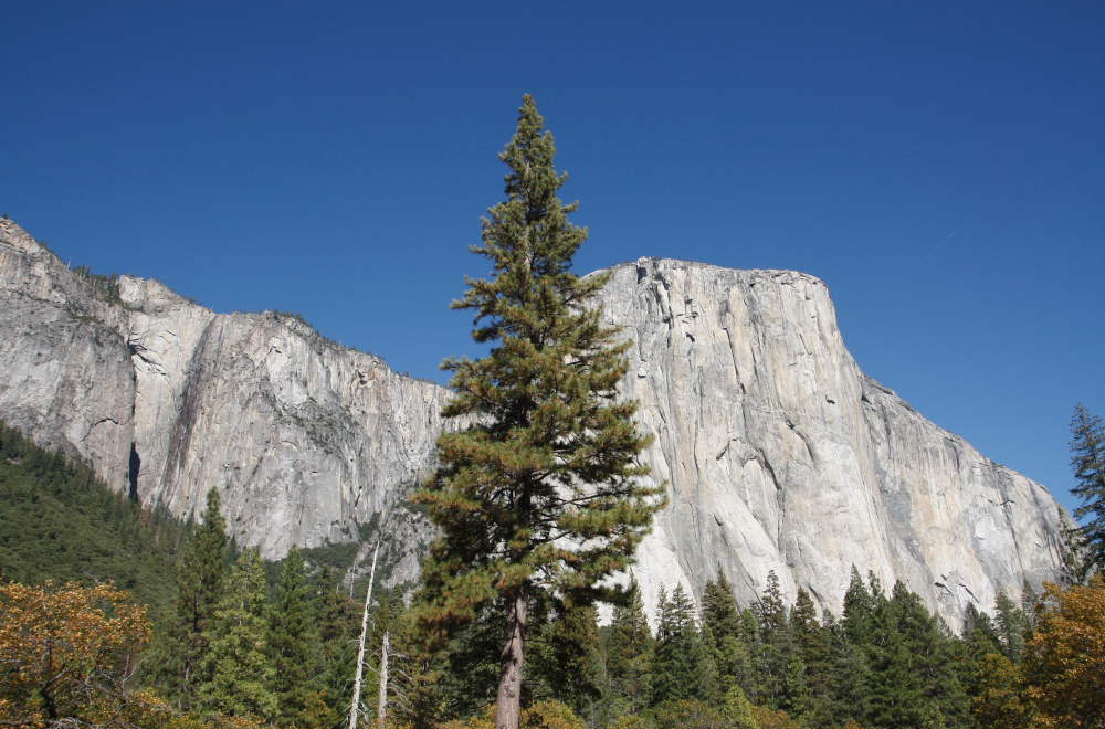 Yosemite Park - El Captain