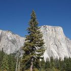 Yosemite Park - El Captain