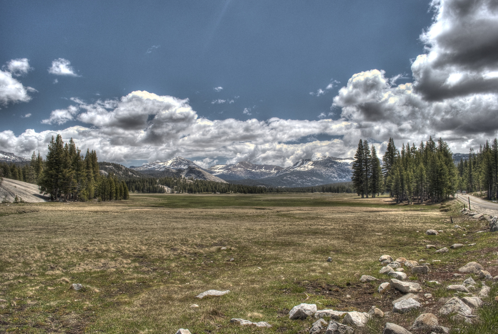 Yosemite Park - USA - Landscape