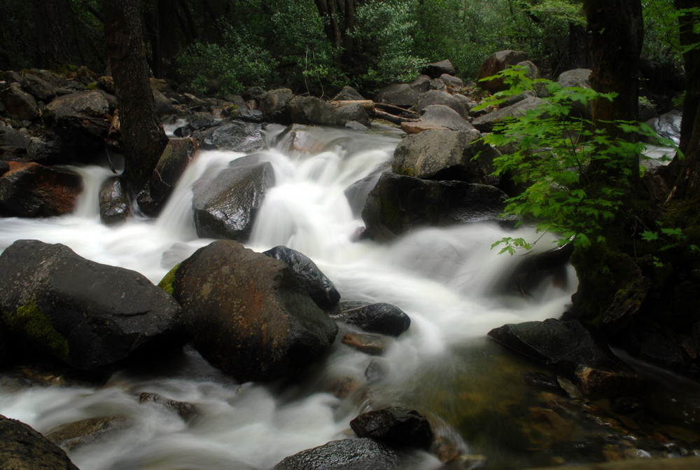Yosemite Park - USA - Small River