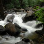 Yosemite Park - USA - Small River