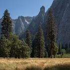 Yosemite Sommer