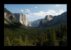 [ Yosemite - Tunnel View ]